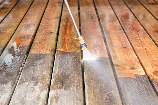 Best Dumpster Area Cleaning  in Washington Park, IL